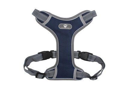Postroj pro psy (L) – nastavitelný, reflexní - modrý