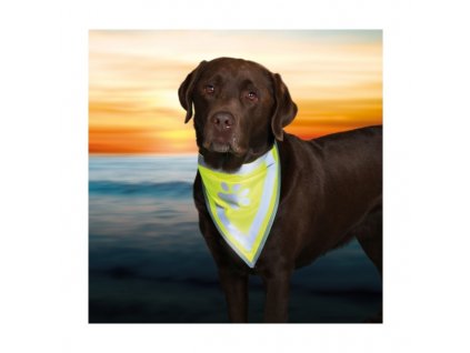 Reflexní vesta - šátek pro psy do 15 kg