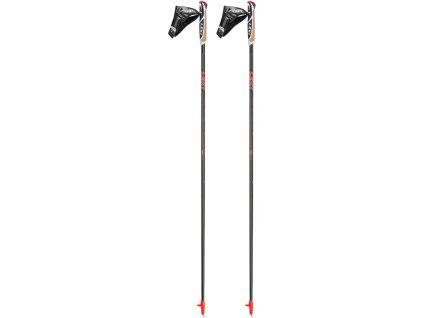 Leki Nordic Walking -Walker Platinium - 100 cm