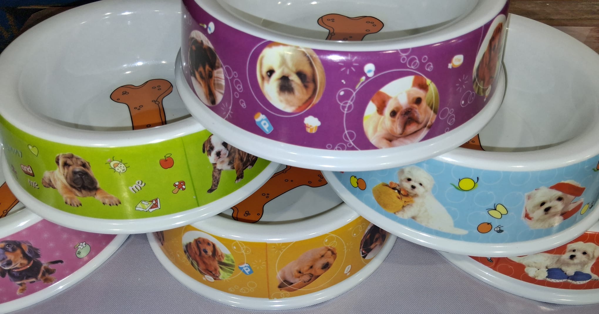 Miska pro psy Varianta: Červená