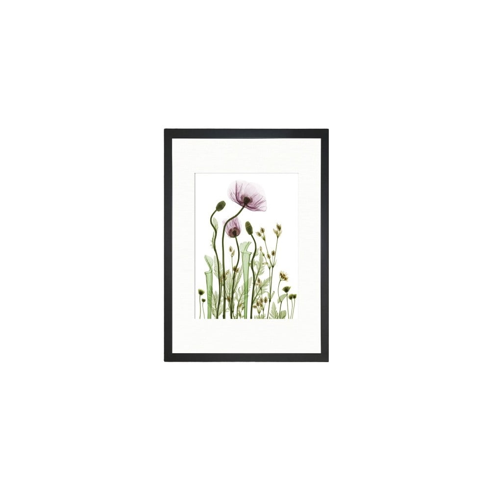 Obraz Tablo Center Wild Plants, 24 x 29 cm - rozbaleno
