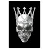 Obraz na skle SKULL 2 - 80x120 cm, černobílé