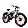 Elektrokolo SMLRO XDC600 Plus se dvěma motory | 2000 W 22,4 Ah