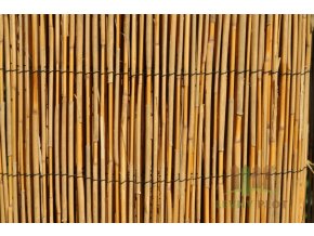 Rohož rákosová 2,0 x 5 m
