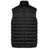 MEN'S QUILTED BODYWARMER (TRANSFERRING TO IB6172) Black (Vyberte barvu černá, Velikost S)