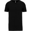 MEN'S SHORT-SLEEVED V-NECK T-SHIRT Black (Vyberte barvu černá, Velikost S)