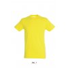 SOL'S REGENT - UNISEX ROUND COLLAR T-SHIRT Bottle Green (Vyberte barvu lahvová zelená, Velikost 2XL)