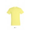 SOL'S REGENT - UNISEX ROUND COLLAR T-SHIRT Bottle Green (Vyberte barvu lahvová zelená, Velikost 2XL)