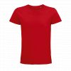 SOL'S PIONEER MEN - ROUND-NECK FITTED JERSEY T-SHIRT Bottle Green (Vyberte barvu lahvová zelená, Velikost S)