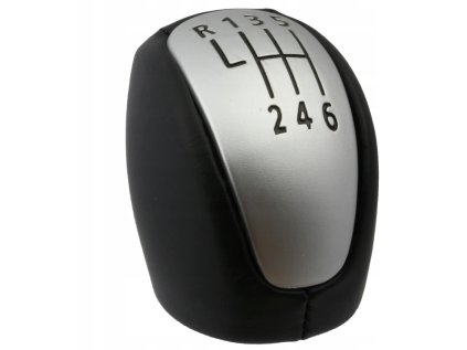 Steuerhebelkopf RENAULT LAGUNA III, 6-tlg. (07-15)