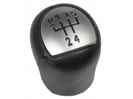 Hlavica radiacej páky RENAULT TWINGO DACIA LOGAN, 5ST. - koža