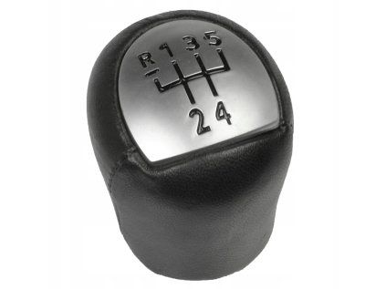 Shift lever head RENAULT TWINGO DACIA LOGAN, 5ST. - leather
