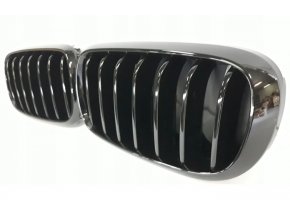 Frontmaske, Nieren, Grills BMW X5 F15 (13-)
