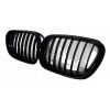 Front grille, kidney, grilles BMW X5 E53 (01-03) black glossy