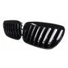 Frontgrill, Nierengitter BMW X5 E53 (04-06) - Satz L+P