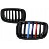 Frontgrill, Niere, Kühlergrill BMW X5 E70 X6 E71 - Satz L+P
