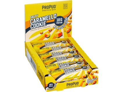NJIE PROPUD PROTEINOVÁ TYČINKA (Příchuť slaný karamel cookie, balení 55g)