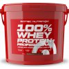 Scitec Nutrition 100% Whey Protein Professional 5000 g (Příchuť banán)