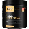 ATP Nutrition BCAAs Nitro + DMAE 300 g (Příchuť kiwi)