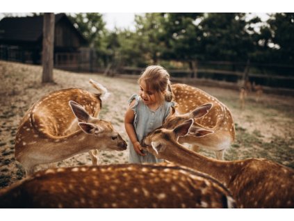 Image souteze zoo chleby ZOO chleby 9