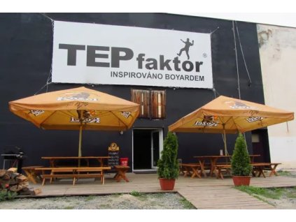 Tepfaktor 1