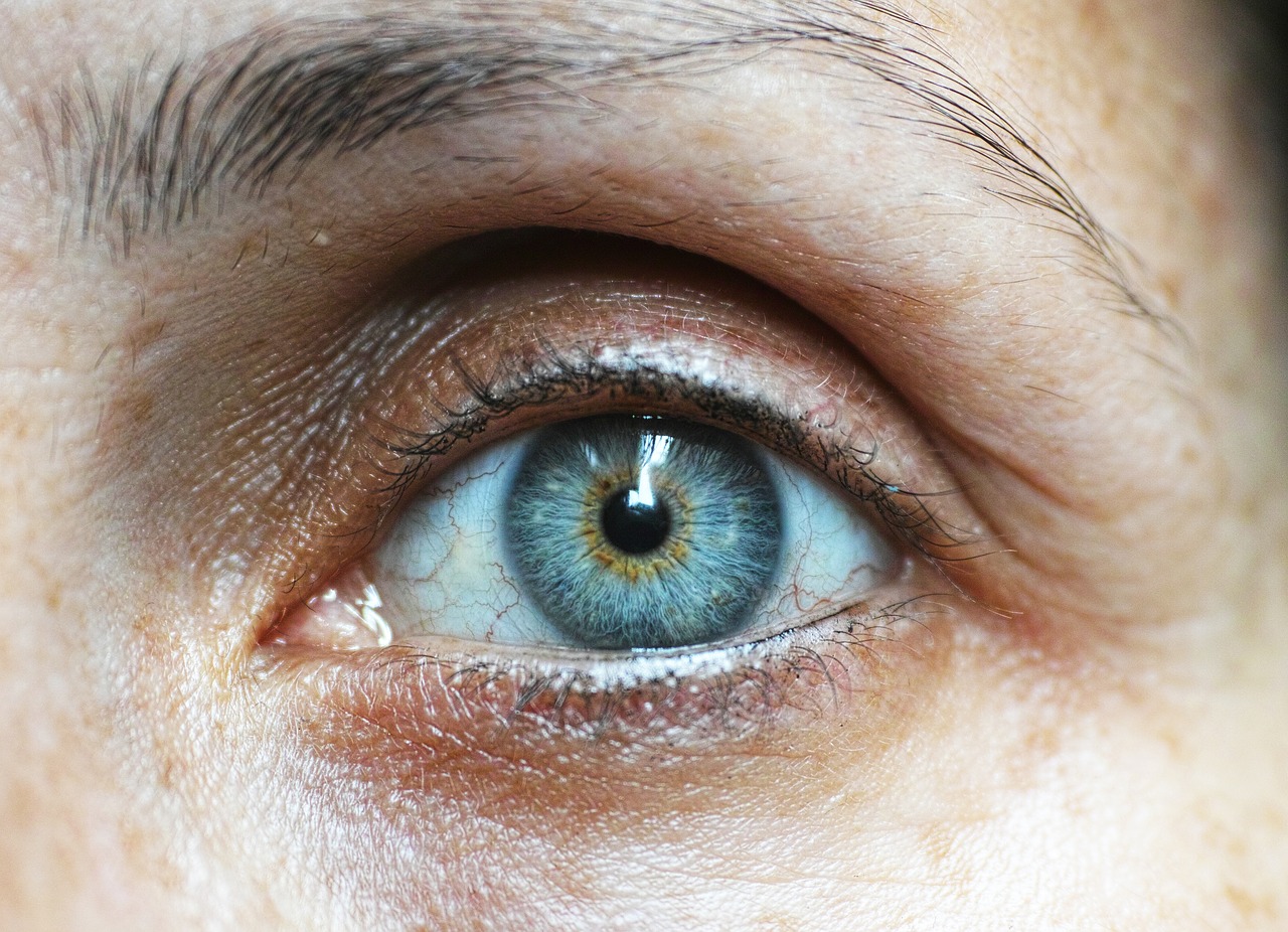 eyebrow-1792296_1280
