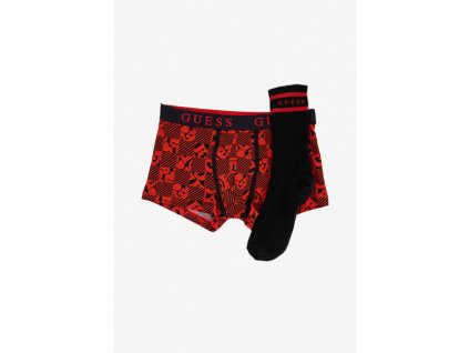 pi10 p45356 pansky set boxerky a ponozky u0bg19jr003 f225 vicebarevna guess 1 2 470 645 138245