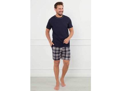 229d3509 2108 4b96 bf90 a0fb73679005