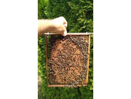 Oddělek RM 30x43,5    2026