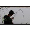 65 lk baits kaprovy prut activline 3 6m 2 75lb