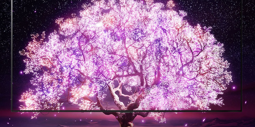 Nejlepší tipy na Vánoce - Test televizí Podzim 2021