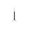 lg-oled55b56