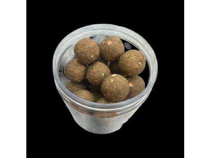 Boilies Anýz