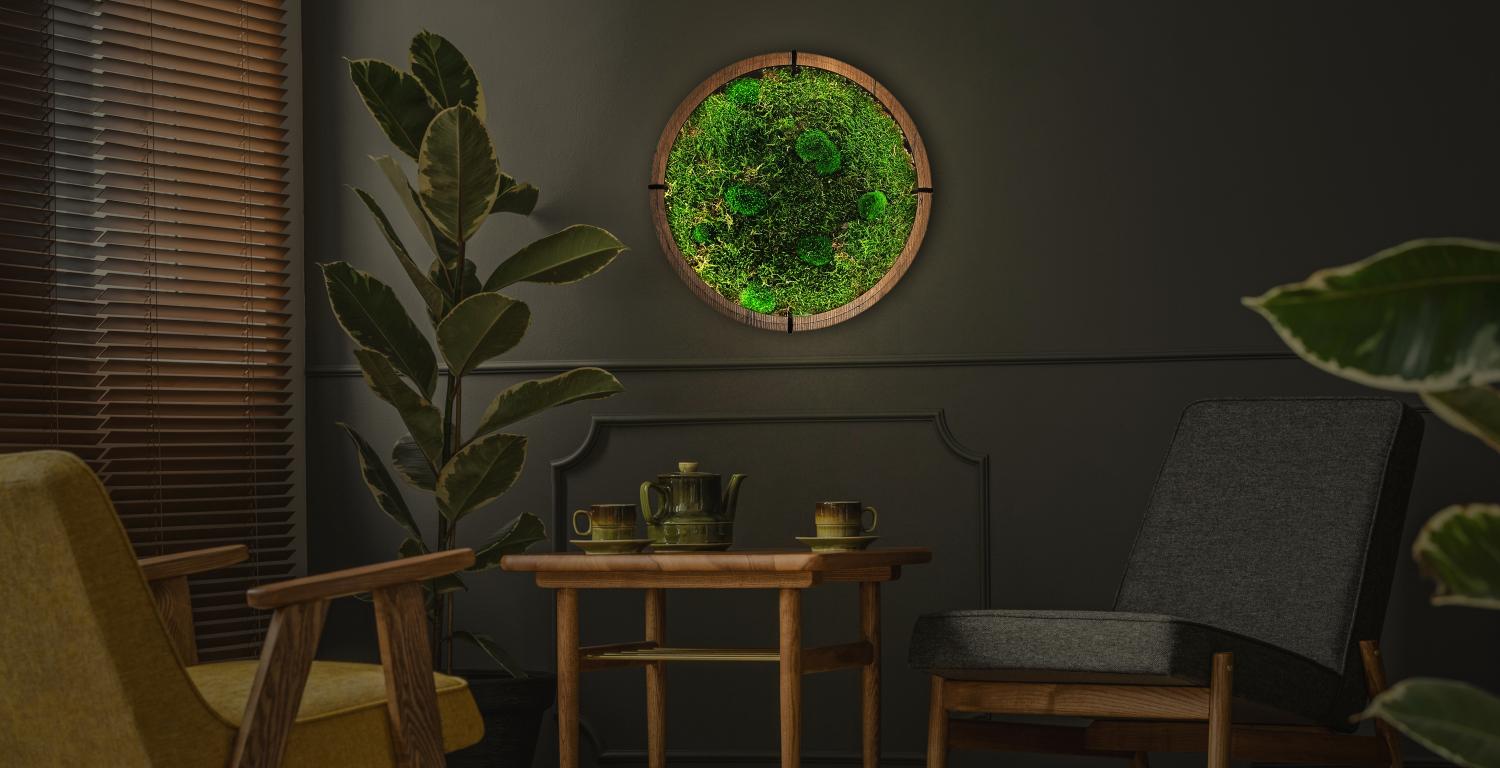 "Mechové kopečky" světelný obraz