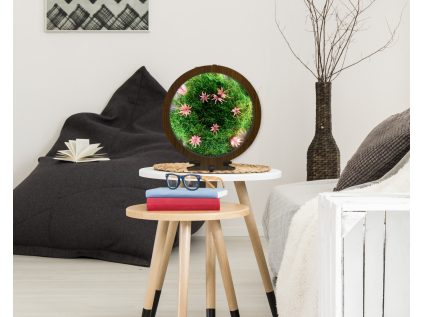 5slaměnka růžová