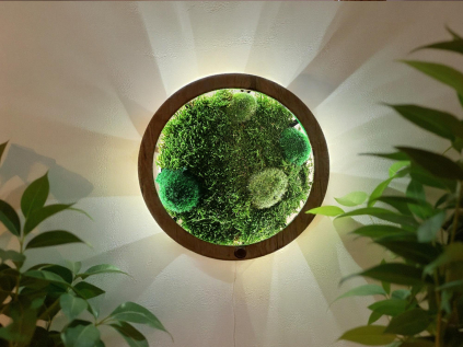 "Mechové kopečky" dřevěná lampa/obraz 31 cm/230V