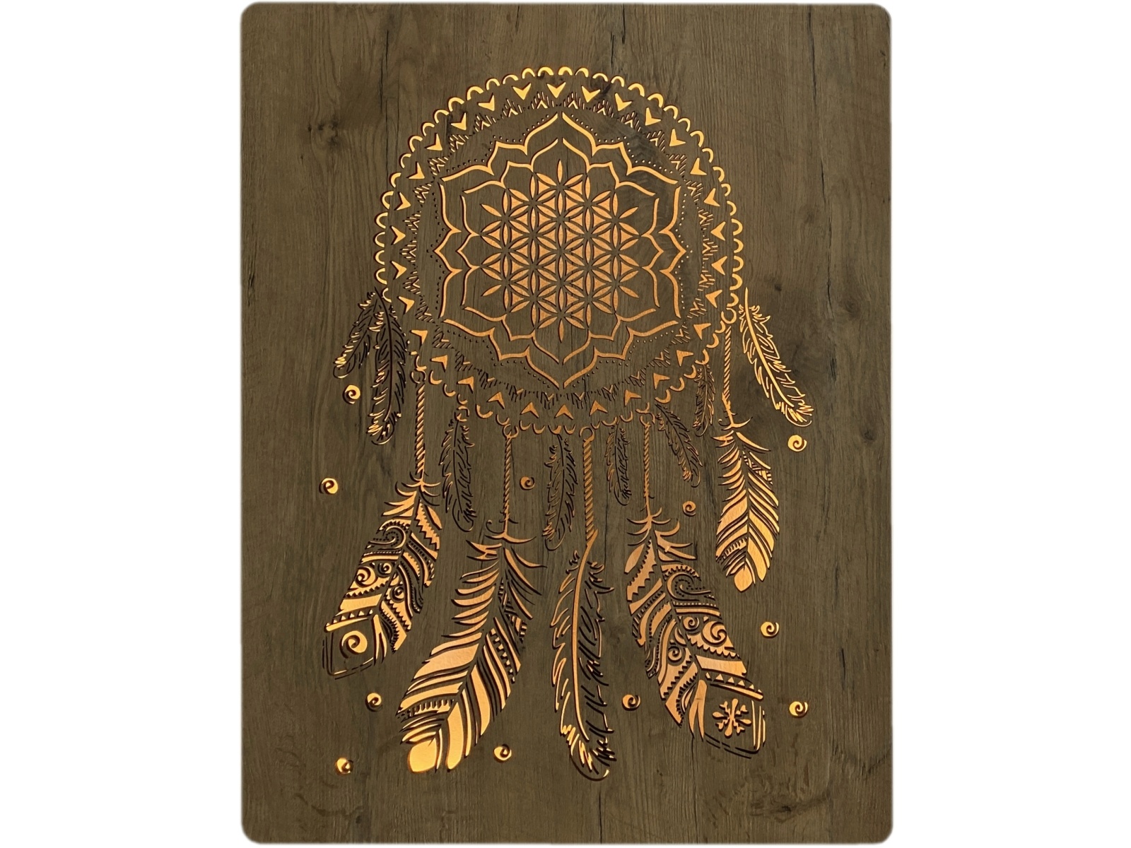 Li-Go "Lapač" světelný obraz 230V 62x80cm provedení povrchu: dub