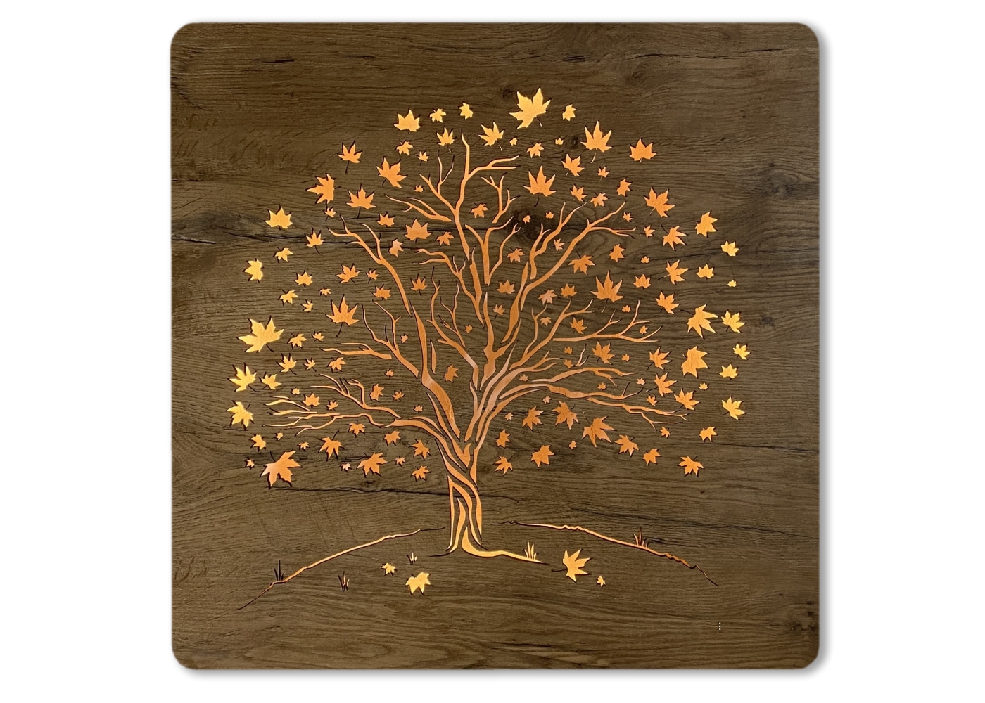 Li-Go "Javor" světelný obraz 230V 62x62cm provedení povrchu: dub