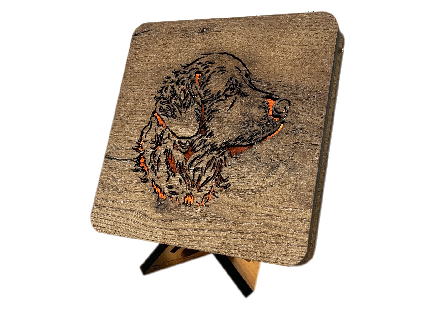 Li-Go "Labrador štěně" lampa 19x19cm provedení povrchu: dub