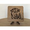 "Husky" lampa 19x19 cm
