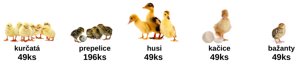 Kapacita liahne REAL 49 AUTOMATIC