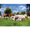 sit pro elektricky ohradnik pro ovce kerbl ovinet 108cmx50m 1 hrot oranzova 03