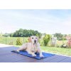 chladici podlozka pro psy KERBL 80842 COOL RELAX 3