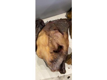 Screenshot 20260323 163419 com whatsapp MediaViewActivity