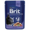 Kapsička Brit Premium Cat