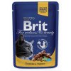 Kapsička Brit Premium Cat