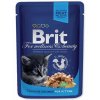 Kapsička Brit Premium Cat