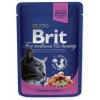 Kapsička Brit Premium Cat