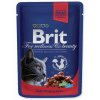 Kapsička Brit Premium Cat