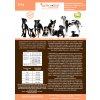 Active Life Superpremium Salmon and Potato